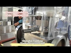 ZP17B Hühnerwürfel efferveszierende Pille Tablettenpressmaschine