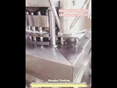 ZPW19 Doppelfarb-Geschirrspülmaschinen-Tablettenpresse, 2-Schicht-Brausetablettenhersteller