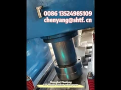 THP45 Blumenkorb-Tablettenpresse