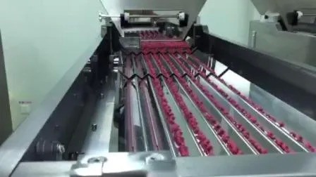 Hochgeschwindigkeits 380V-Produktionslinie für pharmazeutische Flaschen mit einer 1-Jahres-Garantie für Flaschen von 60 ml, 80 ml und 100 ml